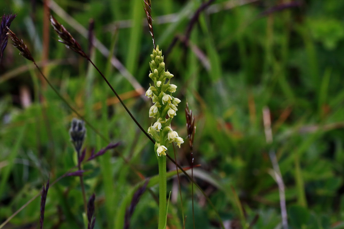 2015_06_18_004417p_Bildgr��e �ndern