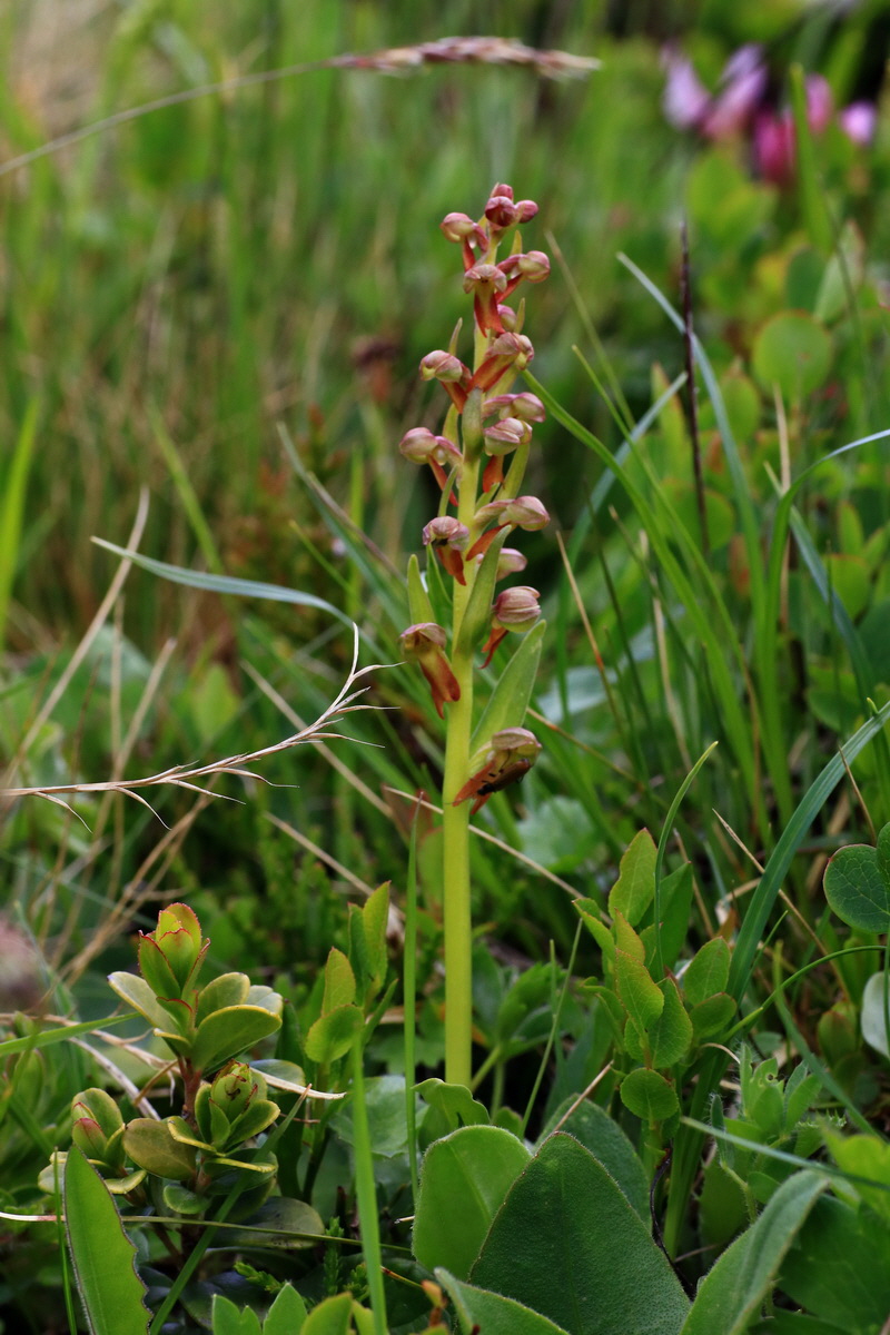 2015_06_18_004431p_Bildgr��e �ndern