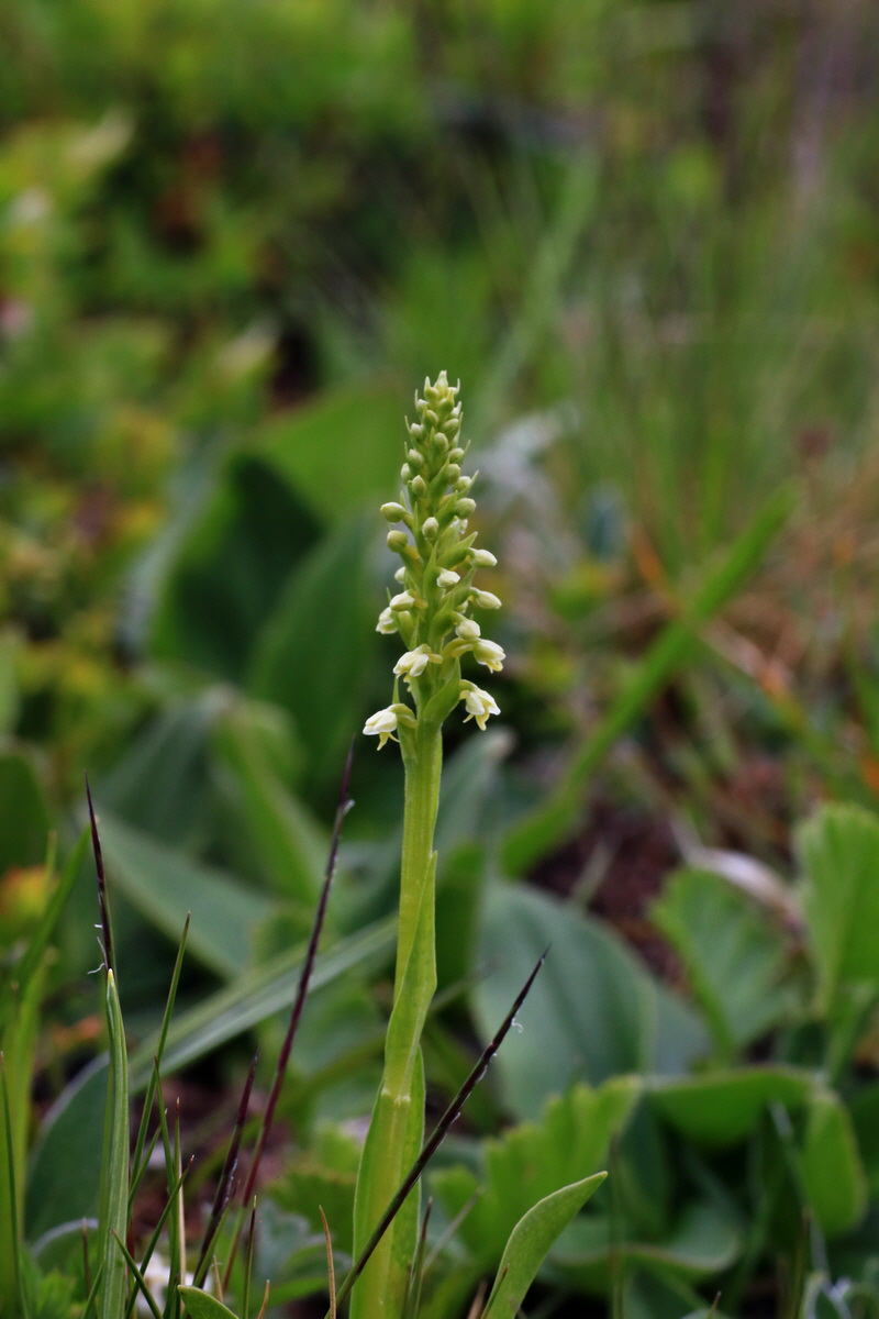 2015_06_18_004432p_Bildgr��e �ndern