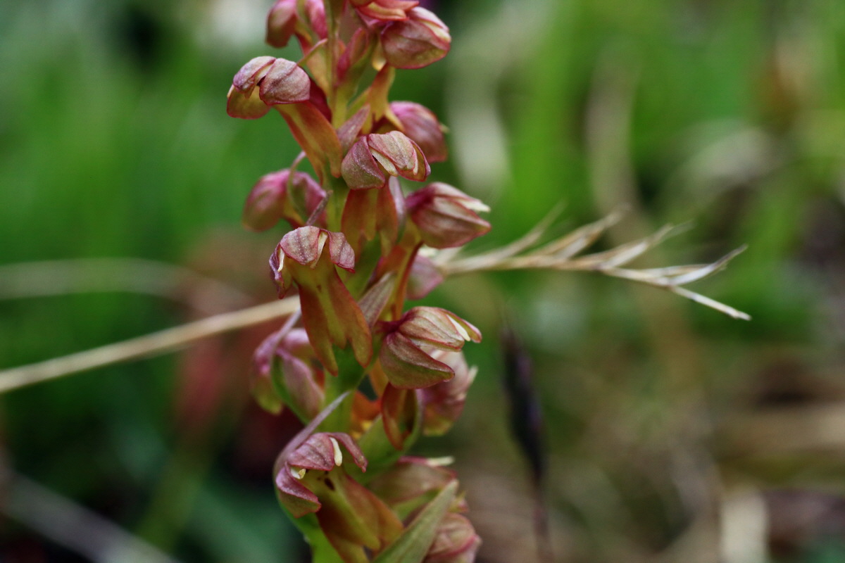 2015_06_18_004438p_Bildgr��e �ndern