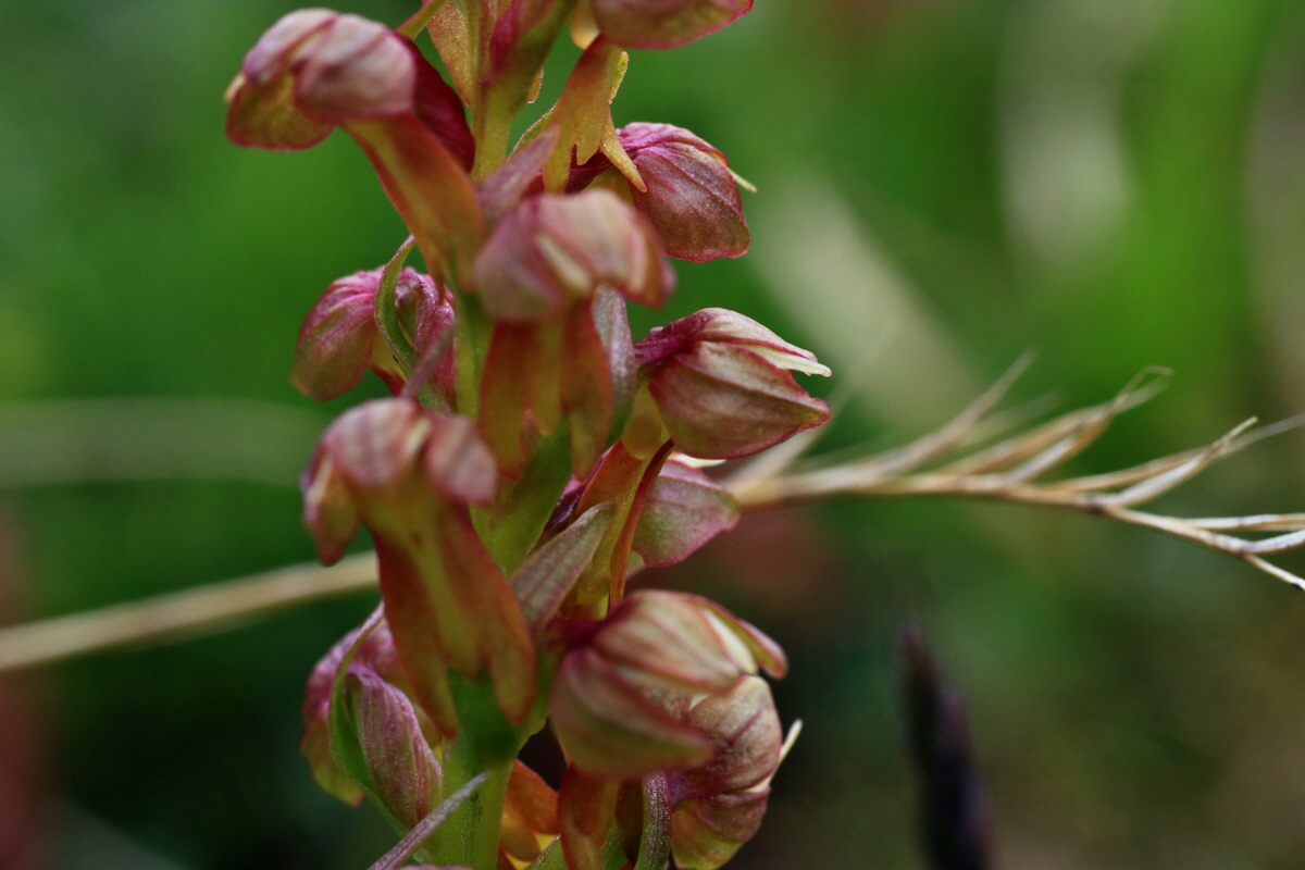 2015_06_18_004444p_Bildgr��e �ndern