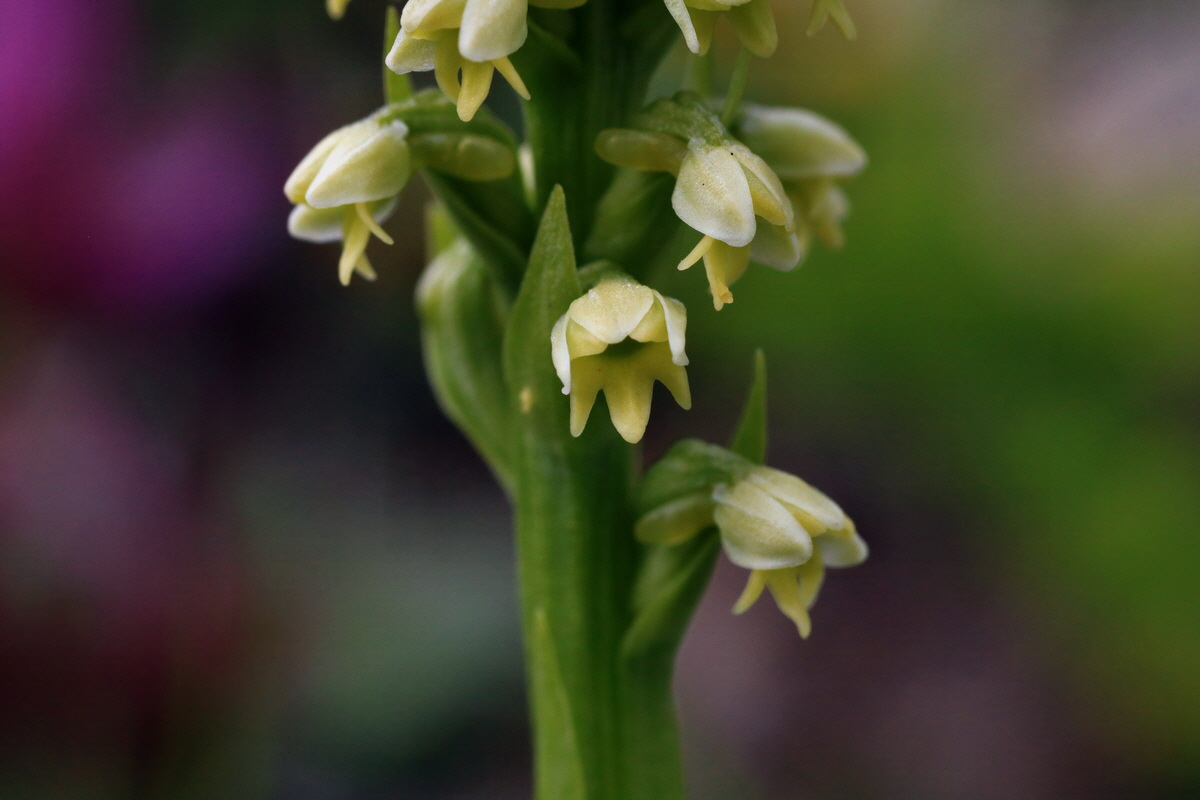 2015_06_18_004448p_Bildgr��e �ndern