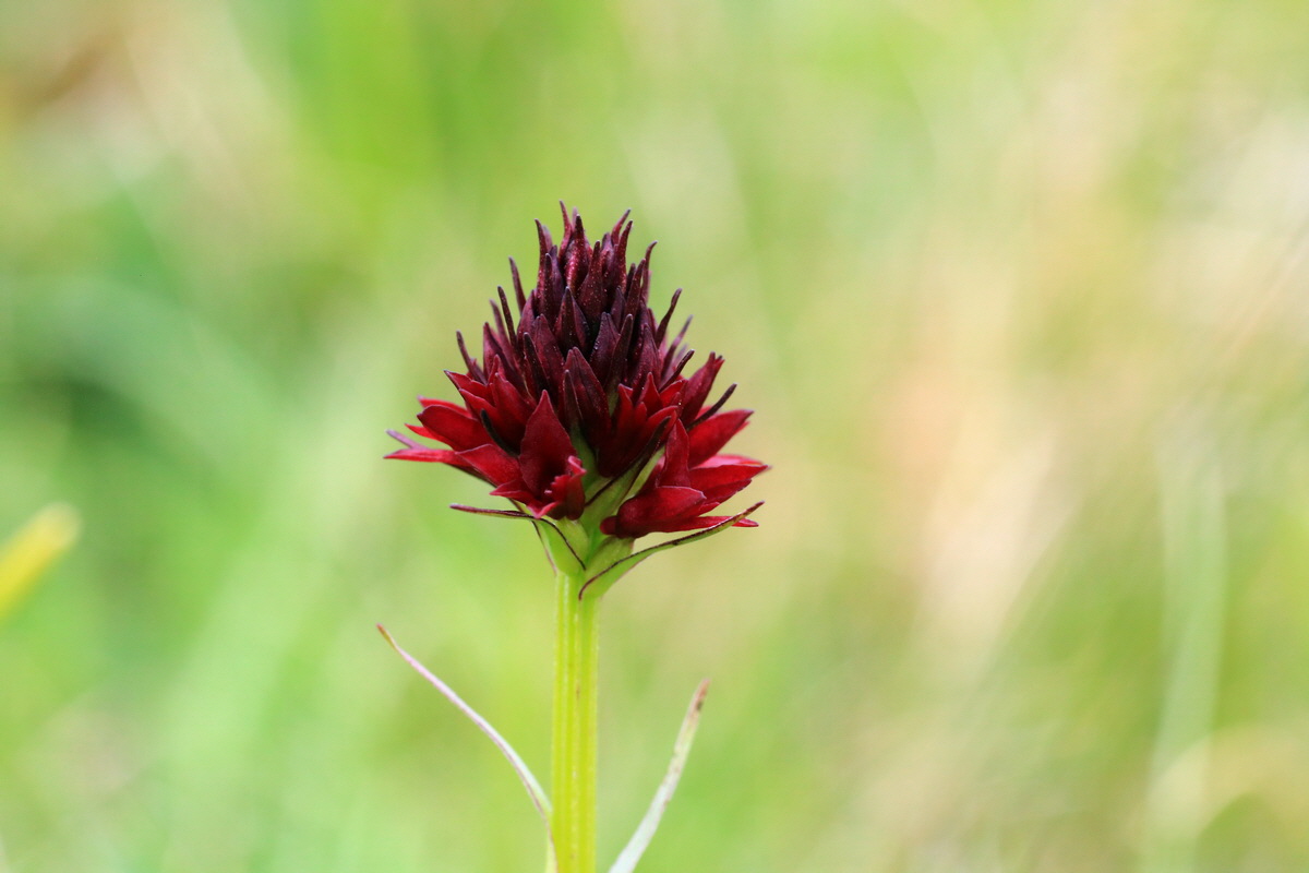 2015_06_18_004456p_Bildgr��e �ndern