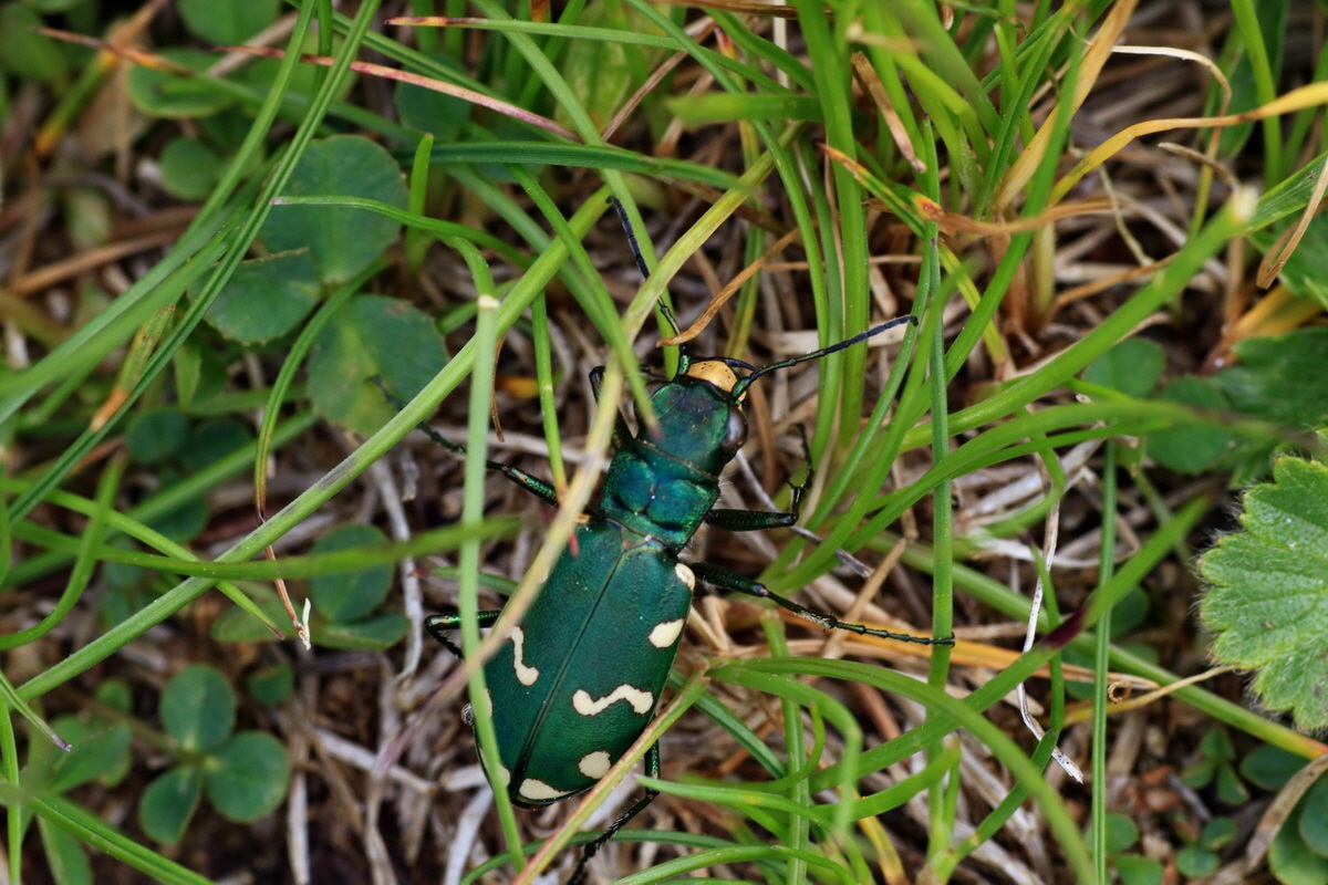 2015_06_18_004459p_Bildgr��e �ndern