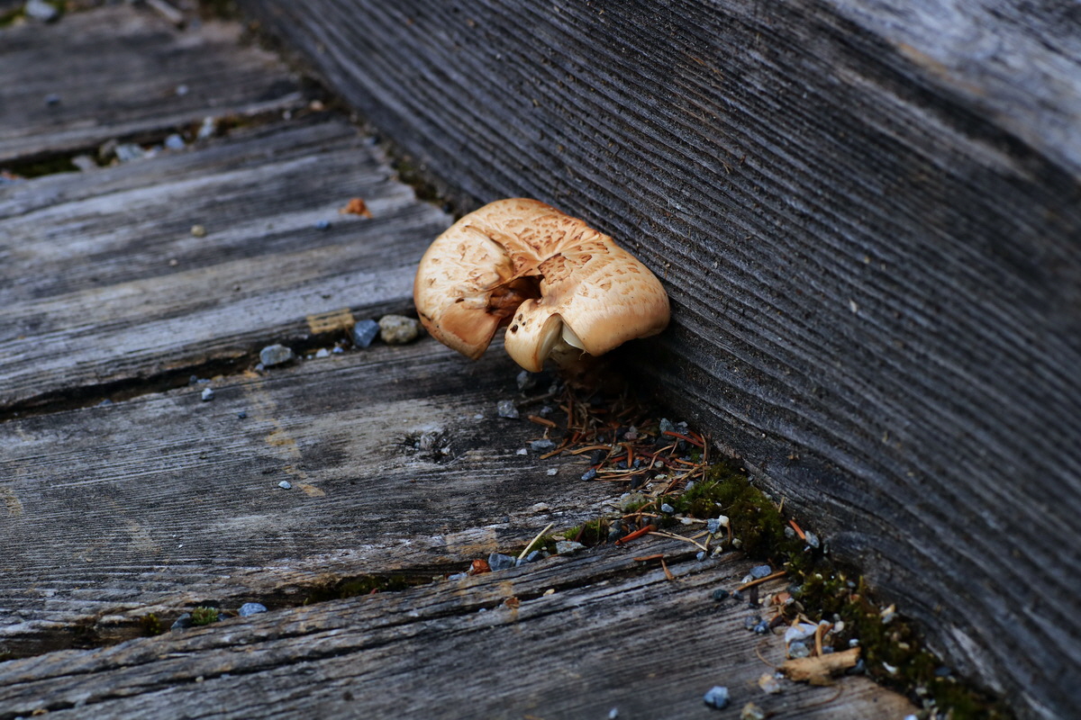 2015_06_18_003975p_Bildgr��e �ndern