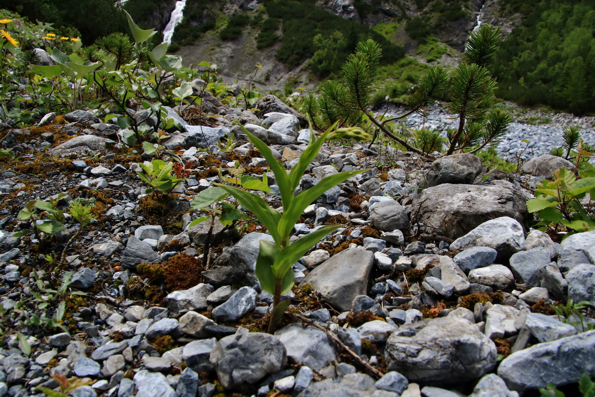 2015_06_18_004078p_Bildgr��e �ndern