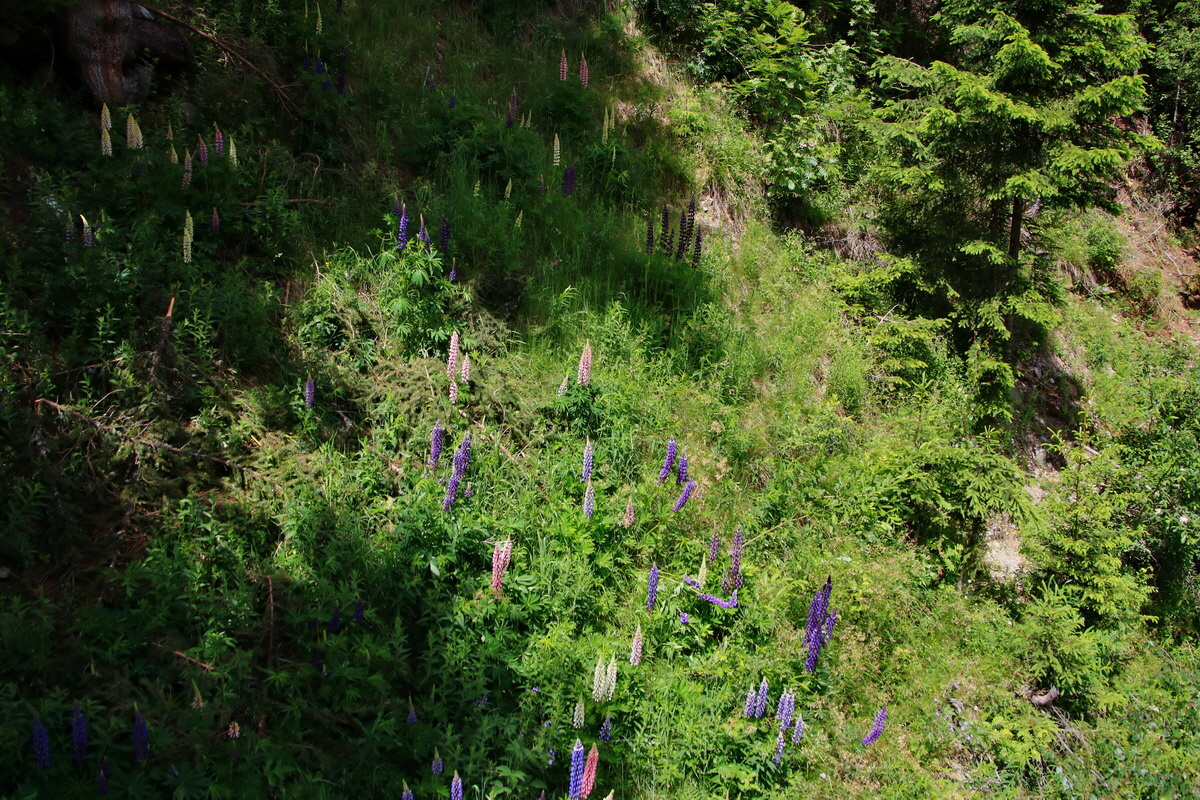 2015_06_18_004141p_Bildgr��e �ndern