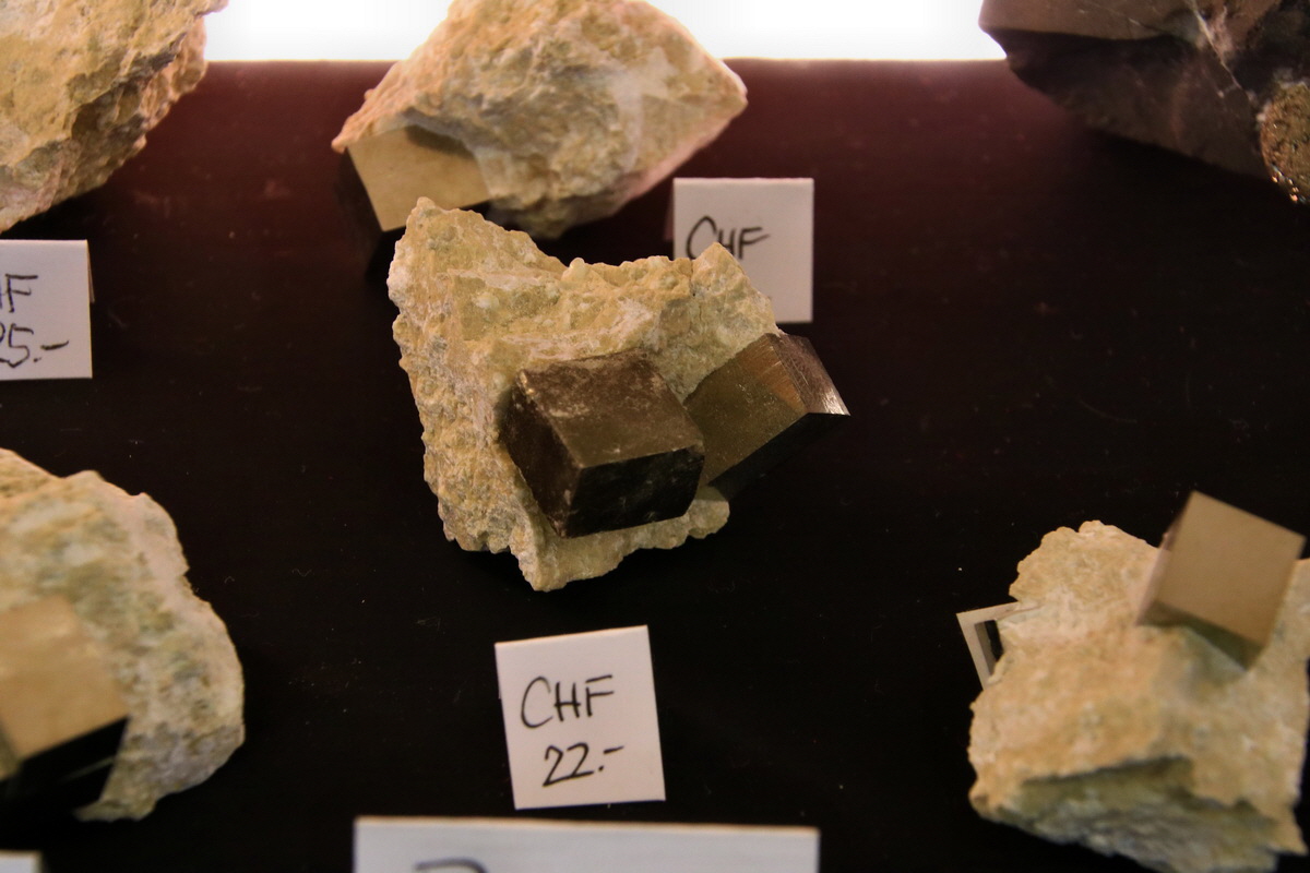 2015_06_19_004774p_Bildgr��e �ndern