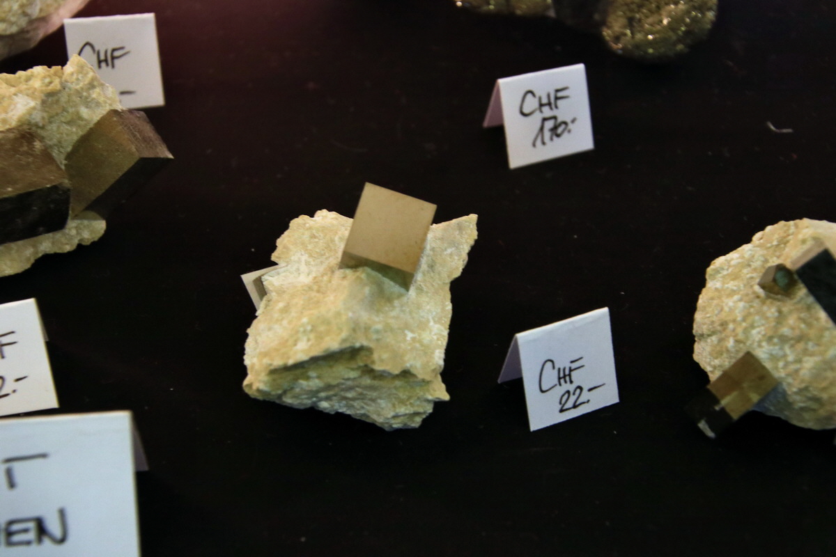 2015_06_19_004776p_Bildgr��e �ndern