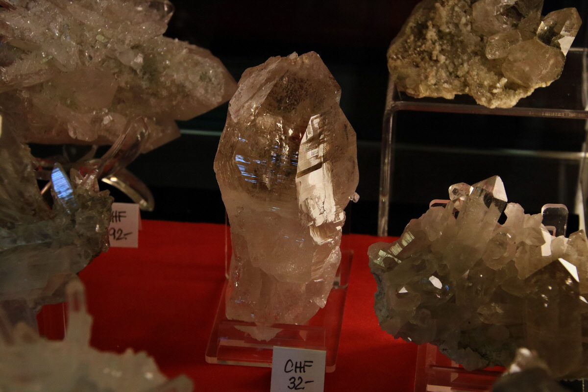 2015_06_19_004809p_Bildgr��e �ndern