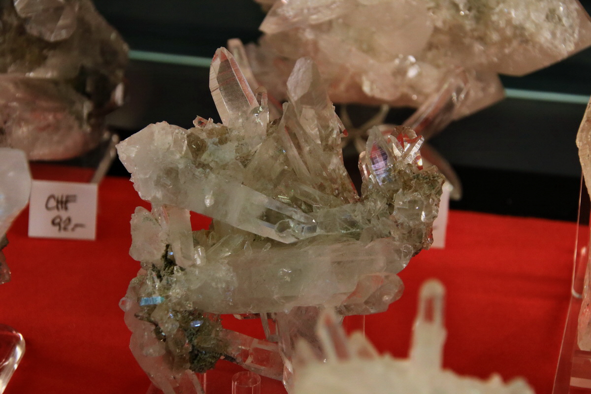 2015_06_19_004811p_Bildgr��e �ndern