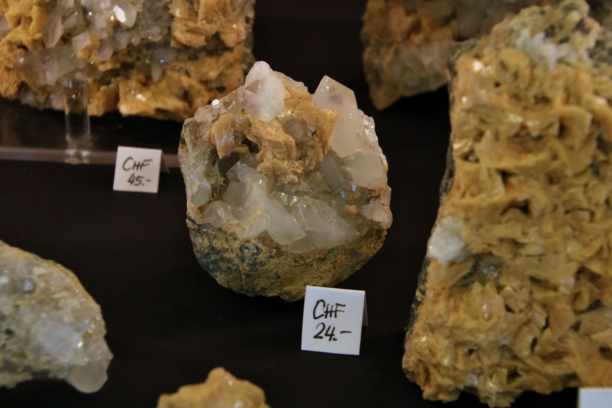 2015_06_19_004825p_Bildgr��e �ndern