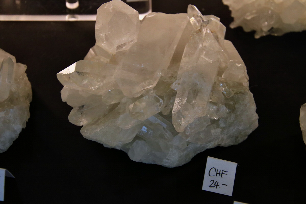 2015_06_19_004827p_Bildgr��e �ndern