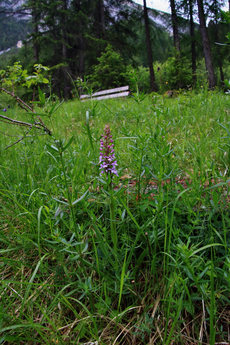 2015_06_19_004544p_Bildgr��e �ndern