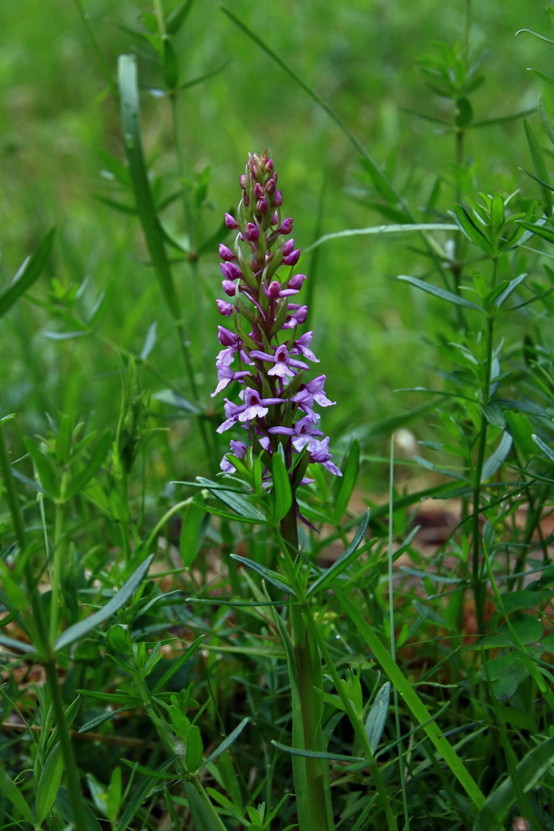 2015_06_19_004546p_Bildgr��e �ndern