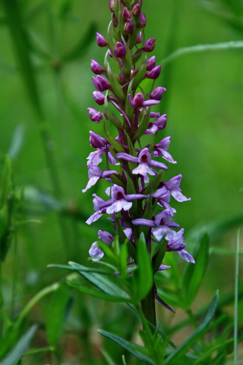 2015_06_19_004547p_Bildgr��e �ndern