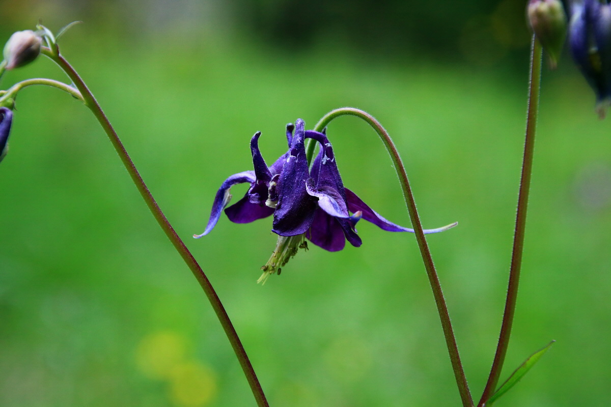 2015_06_19_004551p_Bildgr��e �ndern