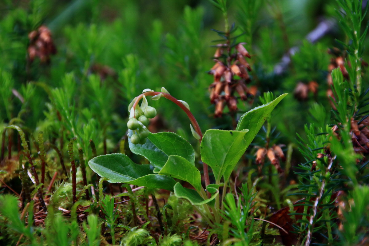 2015_06_19_004554p_Bildgr��e �ndern