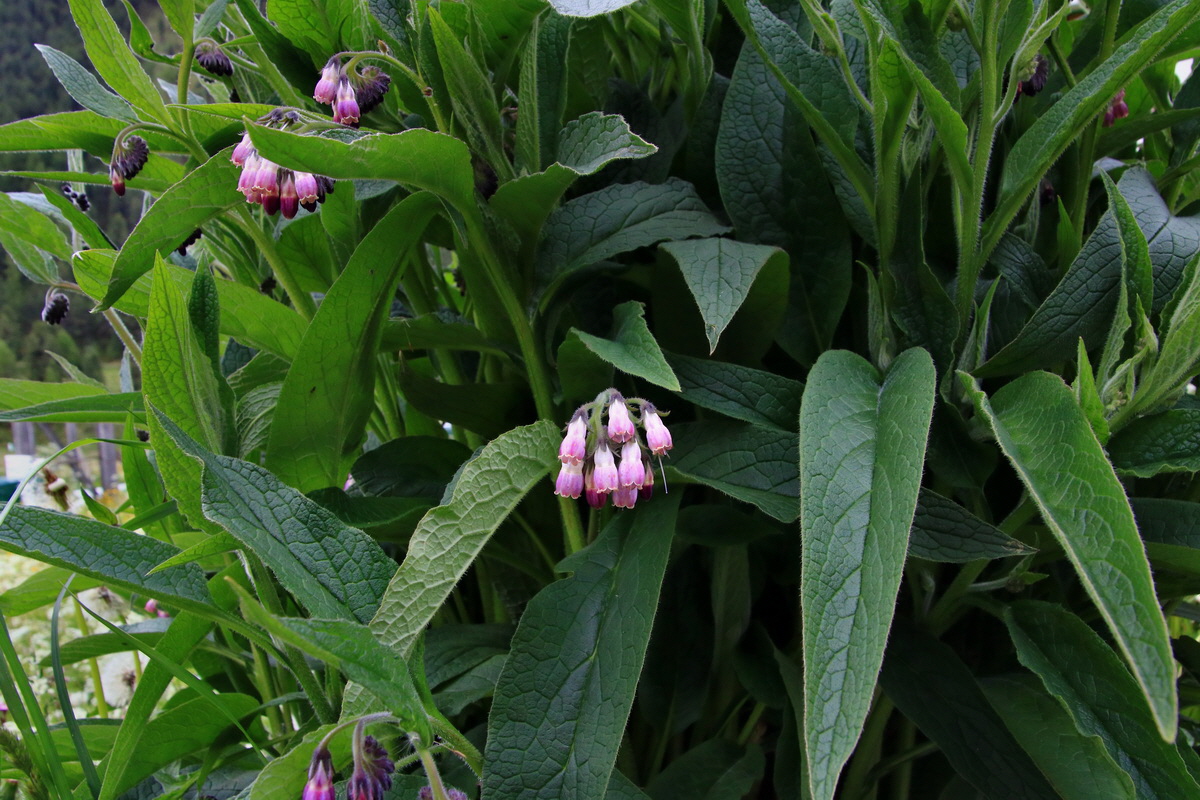 2015_06_19_004558p_Bildgr��e �ndern