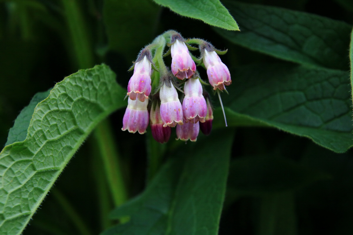 2015_06_19_004561p_Bildgr��e �ndern