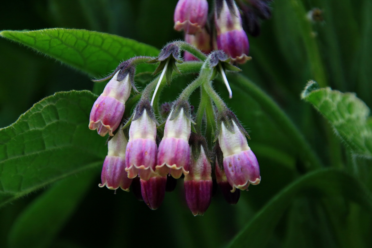 2015_06_19_004563p_Bildgr��e �ndern