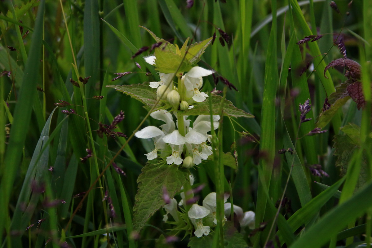 2015_06_19_004570p_Bildgr��e �ndern