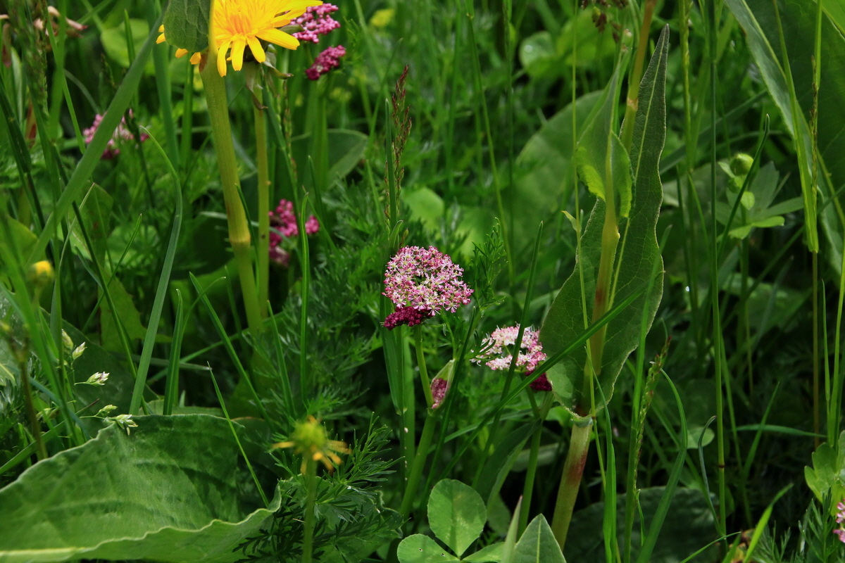 2015_06_19_004576p_Bildgr��e �ndern