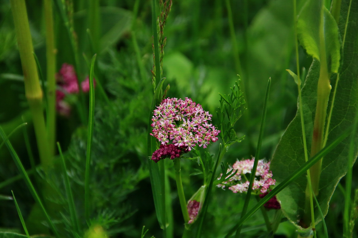 2015_06_19_004578p_Bildgr��e �ndern