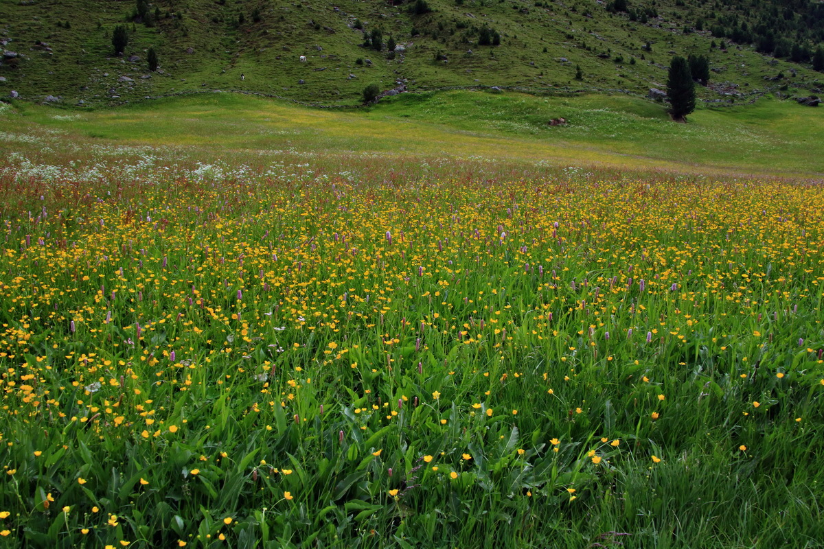 2015_06_19_004581p_Bildgr��e �ndern