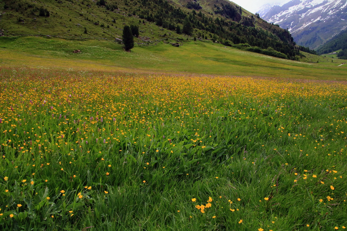 2015_06_19_004586p_Bildgr��e �ndern