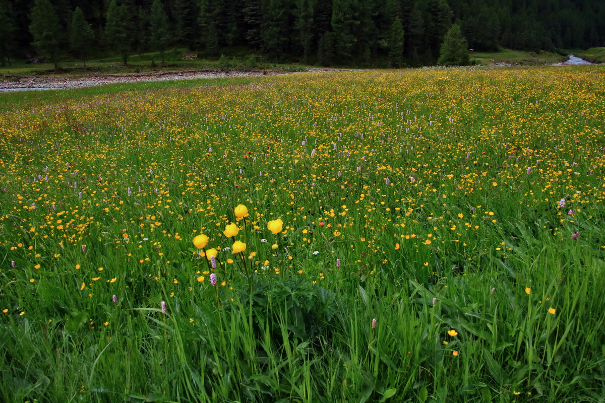 2015_06_19_004588p_Bildgr��e �ndern