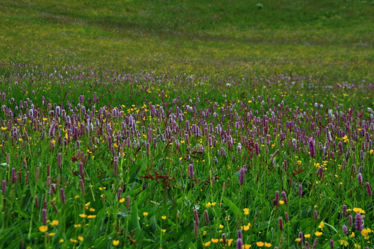 2015_06_19_004590p_Bildgr��e �ndern