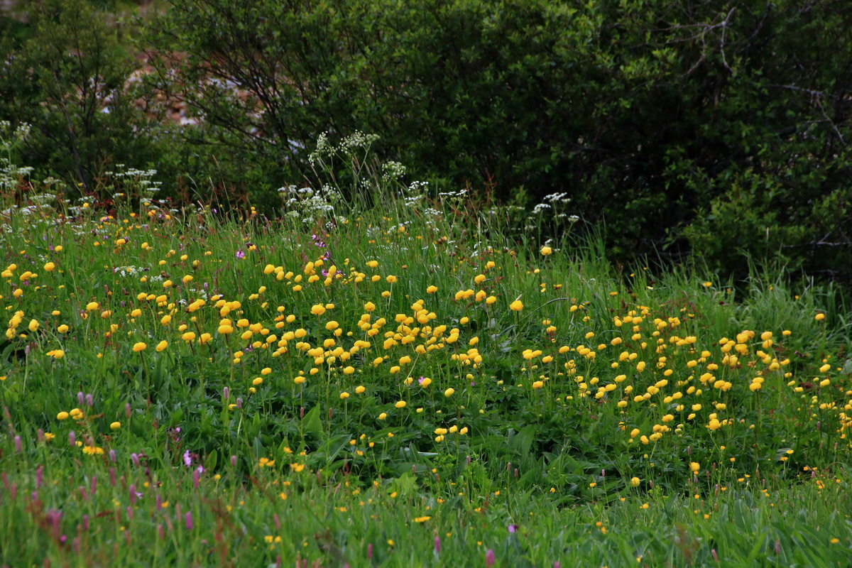 2015_06_19_004605p_Bildgr��e �ndern