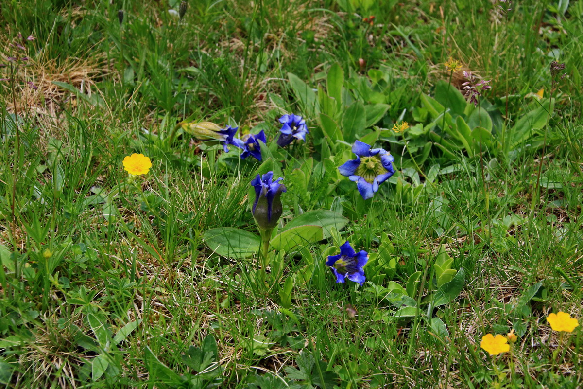 2015_06_19_004617p_Bildgr��e �ndern