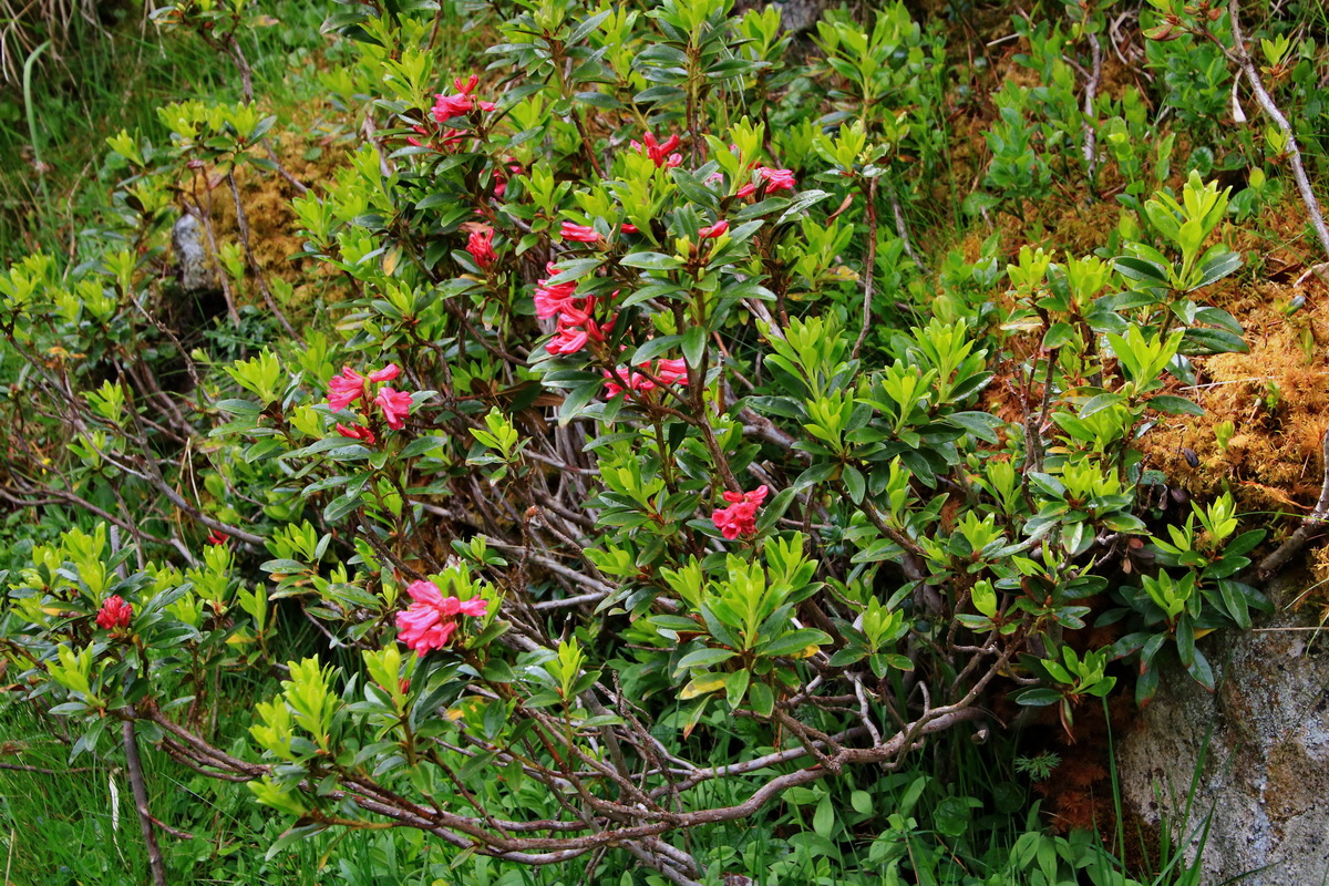 2015_06_19_004620p_Bildgr��e �ndern