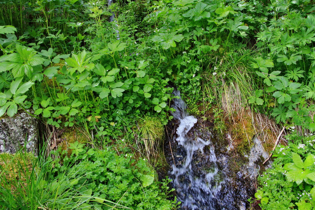 2015_06_19_004622p_Bildgr��e �ndern