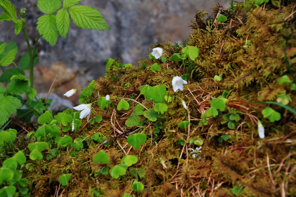 2015_06_19_004630p_Bildgr��e �ndern