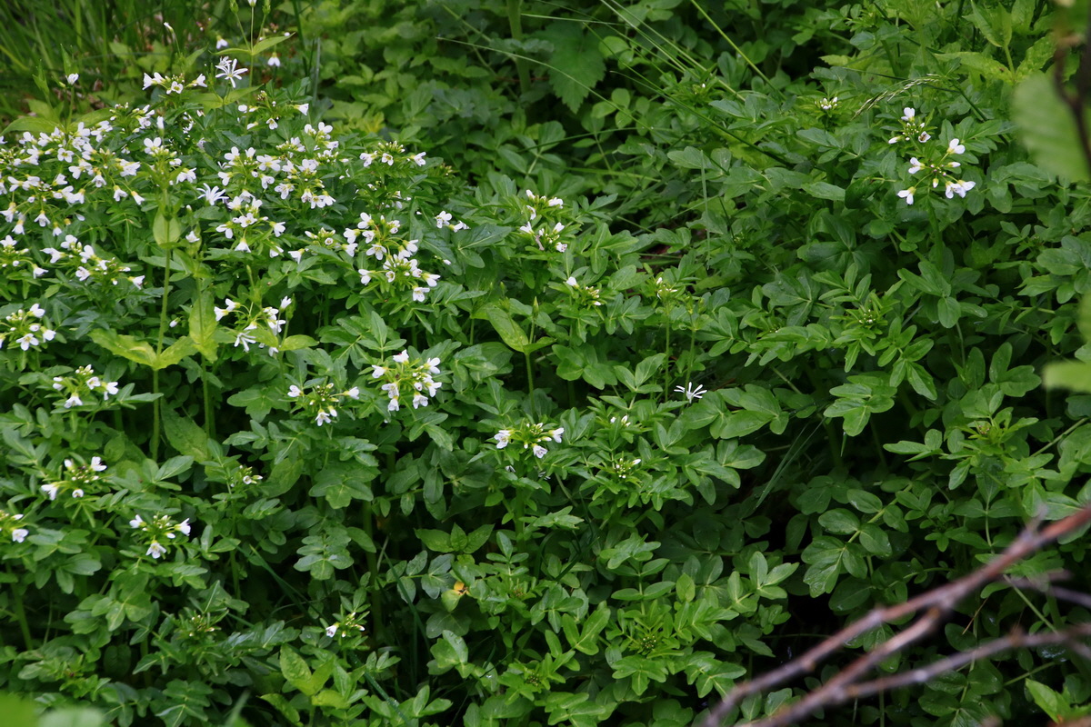 2015_06_19_004633p_Bildgr��e �ndern