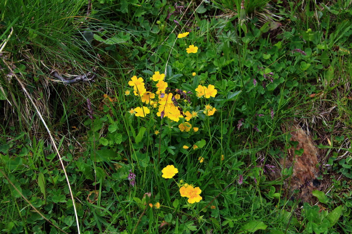 2015_06_19_004637p_Bildgr��e �ndern