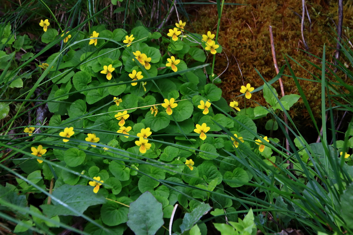 2015_06_19_004640p_Bildgr��e �ndern