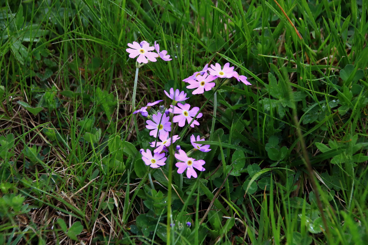 2015_06_19_004647p_Bildgr��e �ndern