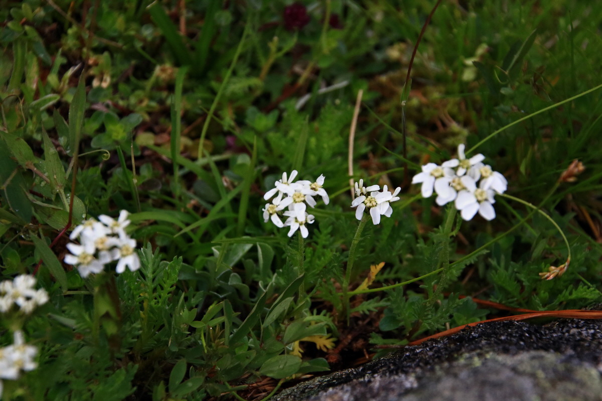 2015_06_19_004692p_Bildgr��e �ndern