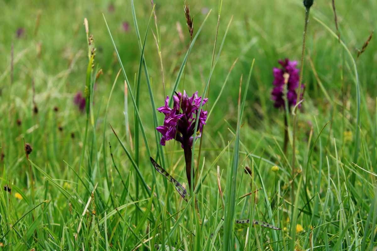 2015_06_19_004708p_Bildgr��e �ndern