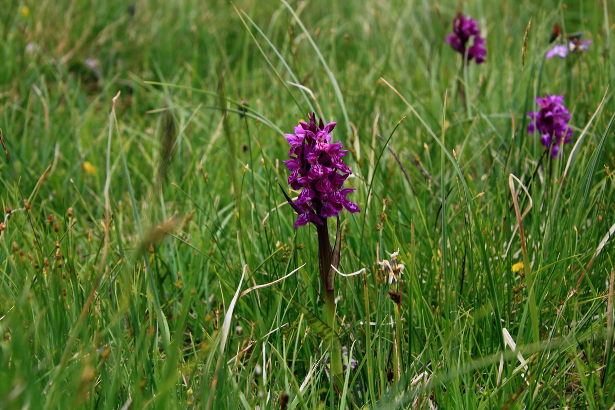 2015_06_19_004711p_Bildgr��e �ndern