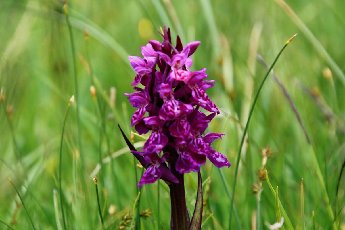 2015_06_19_004712p_Bildgr��e �ndern