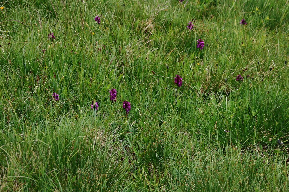 2015_06_19_004716p_Bildgr��e �ndern