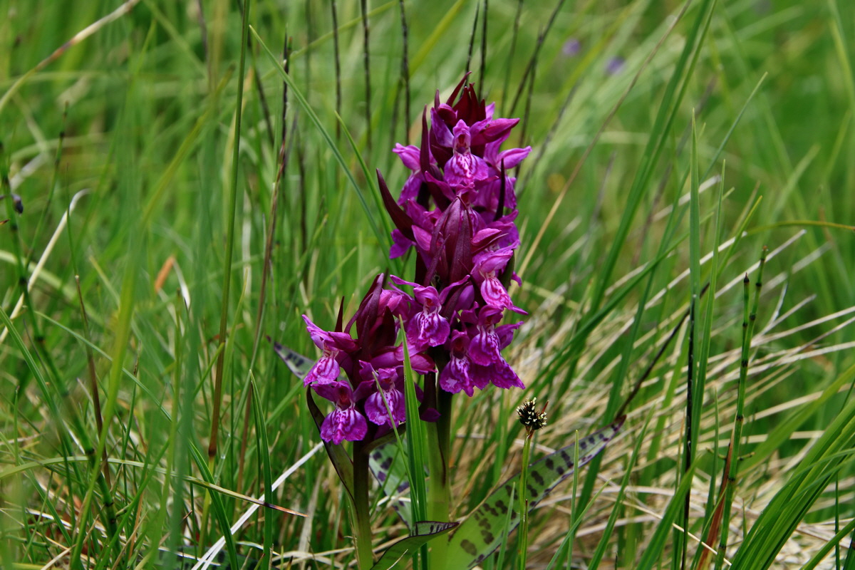 2015_06_19_004719p_Bildgr��e �ndern