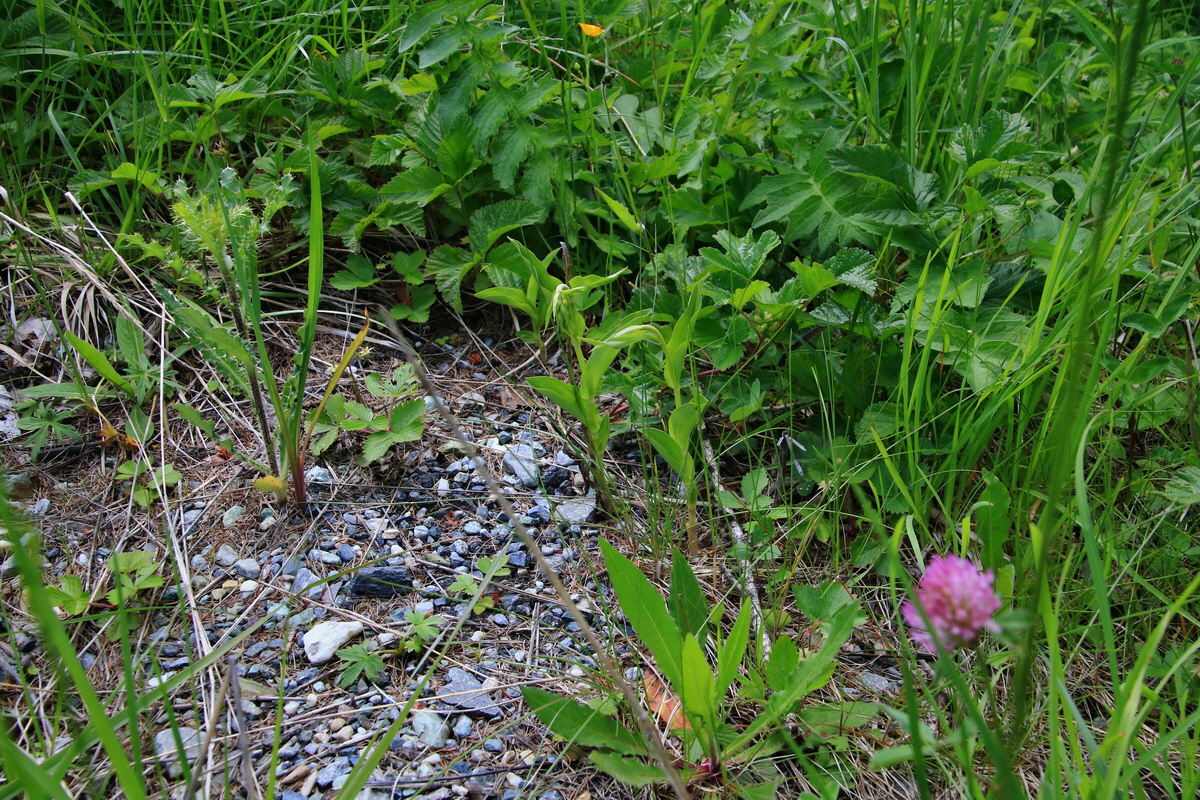 2015_06_19_004859p_Bildgr��e �ndern