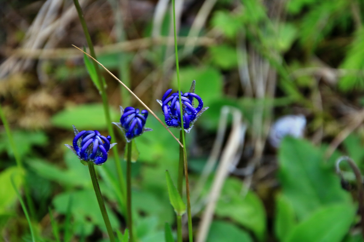 2015_06_19_004861p_Bildgr��e �ndern