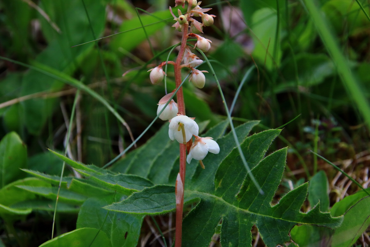 2015_06_19_004865p_Bildgr��e �ndern